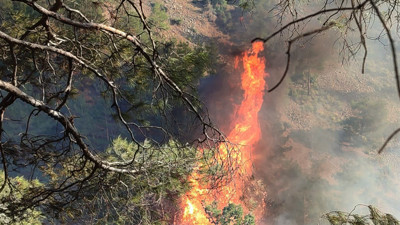 Hatay'da Orman Yangını: Müdahale Başladı