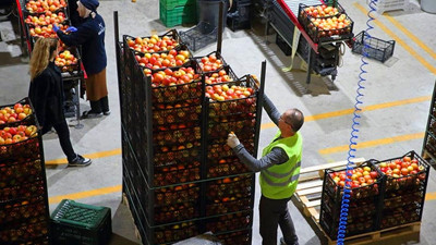 Meyve-Sebze Sektöründe Büyük Firma Konkordato İlan Etti
