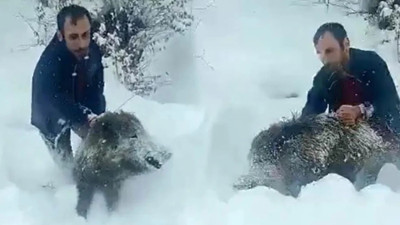 Yavru Domuzu Eliyle Yakalayan Vatandaş Hakkında Yeni Karar