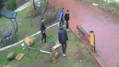 Kuş Yuvasına Zarar Veren 4 Çocuğa Ev Hapsi