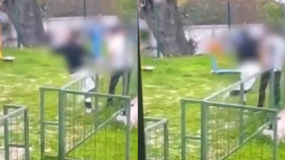 Bodrum'da Parkta Akran Zorbalığı! Darp Ederek Bayılttı