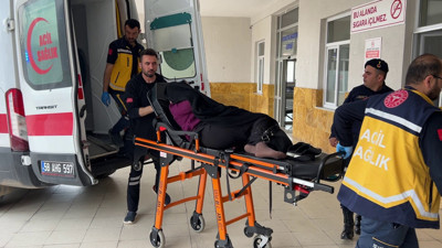 Bostana Giren İnek Kavgasında 1 Ölü 3 Yaralı