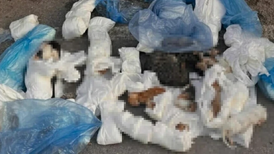 33 Kedi Ölü Bulunmuştu, Veteriner Hekim Serbest Bırakıldı