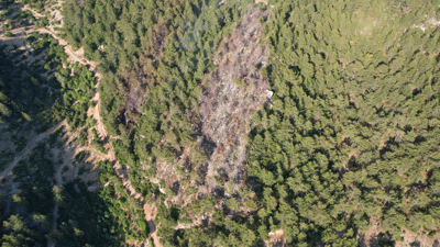 Kaş'ta Çıkan Orman Yangını Kontrole Alındı
