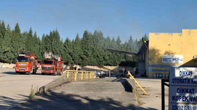 Fabrika Patlamasından Acı Haber, Yaşam Savaşını Kaybetti