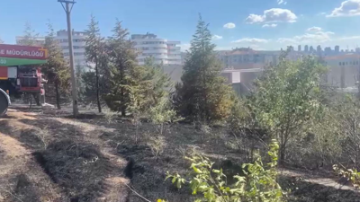 ODTÜ Ormanı'nda Çıkan Yangın Söndürüldü
