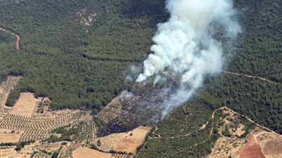 Muğla'da Kritik Bölgede Alarm: Alevler Ormana Sıçradı