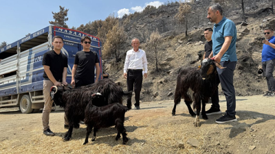 Seydikemer'deki Yangında Zarar Gören Çiftçilere Destek