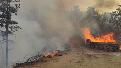 Bolu’da Çıkan Orman Yangını Kontrol Altına Alındı