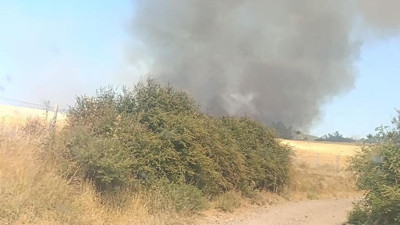 Çanakkale'de Orman Yangını: Alevlere Havadan ve Karadan Müdahale