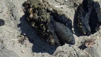 Çanakkale'de Plajda Panik! Savaştan Kaldığı Değerlendirilen Mühimmat Bulundu