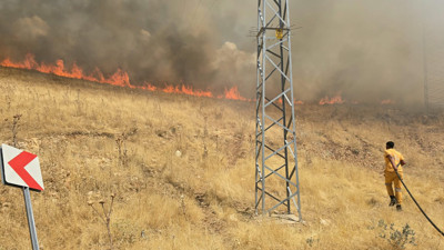 Diyarbakır'da Orman Yangını Alarmı! Alevler Rüzgarın Etkisiyle Hızla Yayılıyor