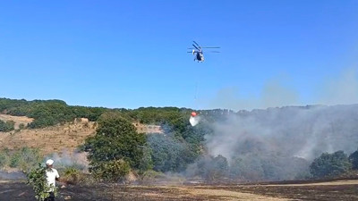 Bursa İznik'te Korkutan Orman Yangını: Havadan ve Karadan Seferberlik Başladı
