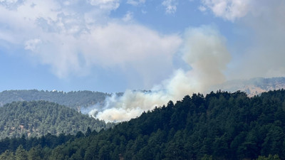 Kahramanmaraş'ta Çıkan Orman Yangını Kontrol Altında