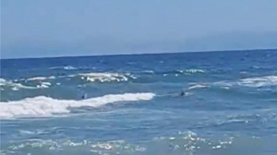 Tekirdağ'da Can Pazarı, Son Anda Kurtarıldılar