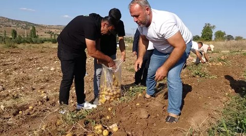 Yozgat'ta hasat başladı: Fiyatlar Düşük, Verim Yüksek