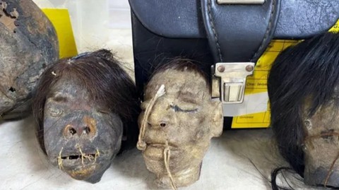 Operasyonda ele geçirilen kesik insan başlarının gizemi çözüldü