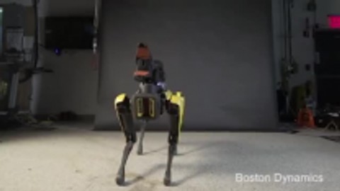 Robot köpek dans figürleriyle hayran bıraktı