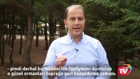 CHP'li Çalık: Birleşip 195 bin fidan dikelim