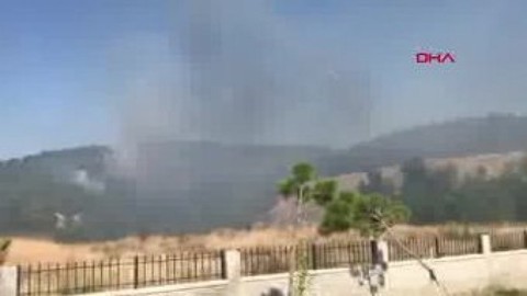 Çanakkale'de orman yangını
