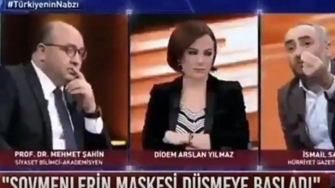 Yandaş profesör: Demet Akalın önemli bir sanatçı