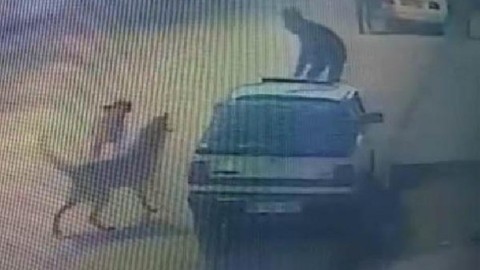 Sivas'ta ilginç görüntü! Köpeklerden kaçarken çıktığı otomobilden böyle düştü
