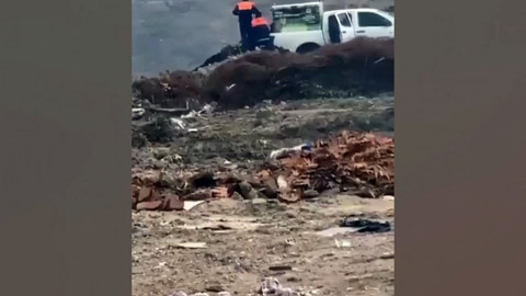 Denizli'de hayvanseverleri ayağa kaldıran görüntü