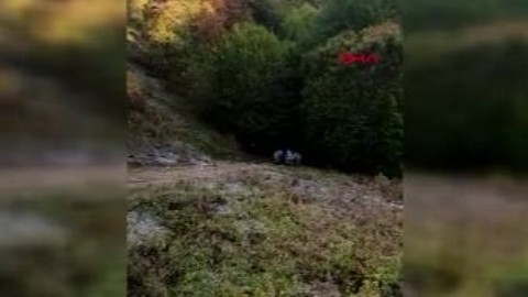 Samsun'da yolcu otobüsü uçuruma yuvarlandı: 2 ölü, 14 yaralı
