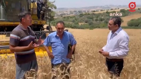 Taban fiyat açıklanmadı, çiftçiler krize isyan etti: 'Seneye bunu kesinlikle ekemeyiz'