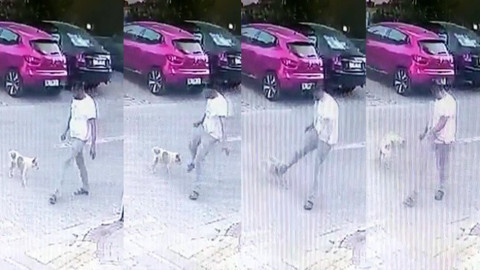 Yolda yürüyen bir kişi, köpeğe sebepsiz yere tekme attı