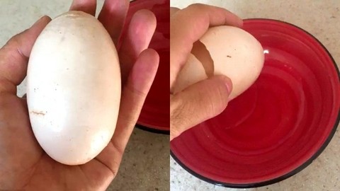 Kırınca içinden çıkana inanamadı! Yumurta içinden yumurta çıktı