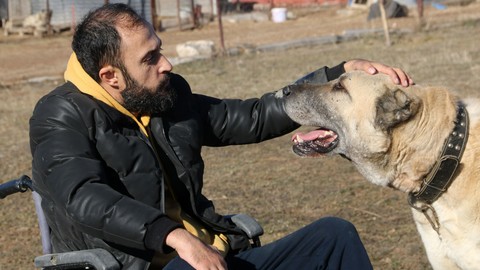 Engelini, çok sevdiği Kangallarla aştı, ömrünün kalanını onlara adadı