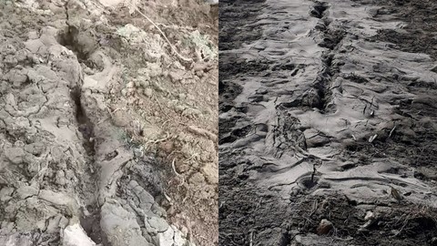 Elbistan'da endişe yaratan görüntü: Depremle yarılan tarlalardan yüzeye su çıktı