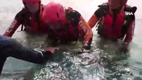 Karaya vuran yunus için 3 saatlik kurtarma operasyonu