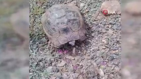 Elazığ'da karşılaştı, dinleyenler gülmekten kendilerini alamadı!