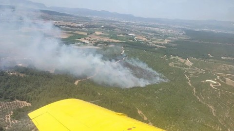 İzmir'de orman yangını: Helikopter ve uçaklar bölgede