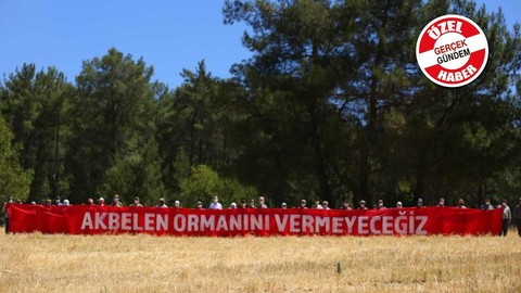 “Eskiden jandarma ormanı korurdu, şimdi ormanı koruyan köylüyle mücadele ediyor!”