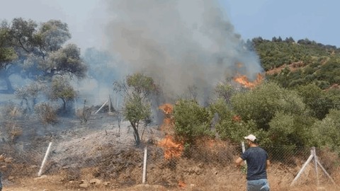 İzmir’de iki farklı noktada orman yangını