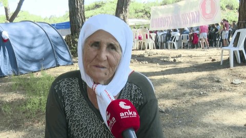 Akbelen’de direnen 75 yaşındaki Zehra Ünal: Üç tane adamın gelip buraları talan etmeye hakları yok