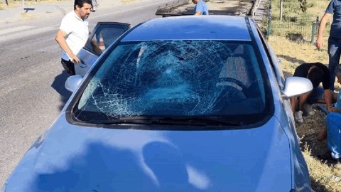 Yeşil Sol Partili milletvekili kaza yaptı