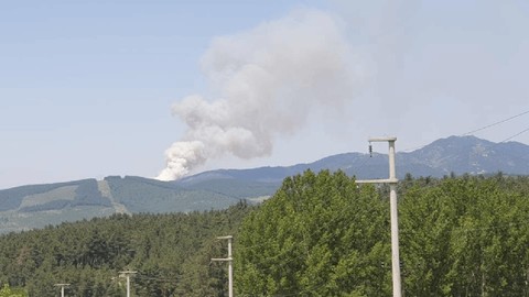 Bursa'da orman yangını! Havadan ve karadan müdahale sürüyor
