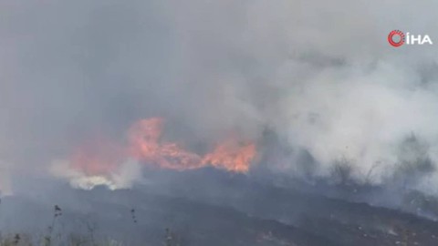Arnavutköy'de otluk alanda çıkan yangın kontrol altına alındı