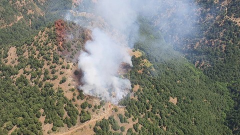 Manisa'da Korkutan Alevler: Müdahale Başladı