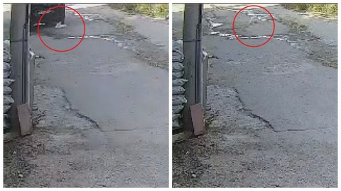 Hatay'da Dehşet! Su İçen Kediyi Aracıyla Ezdi, Arkasına Bile Bakmadı