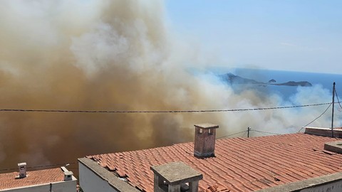İzmir'de Orman Yangını! Alevler Evlere Yaklaşıyor