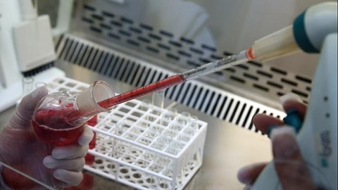 Milyonlarca Çocuk İncelendi: Bu Kan Grubuna Sahip Çocukların Daha Zeki Olduğu Ortaya Çıktı