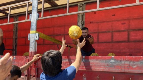 Fiyatlar İsyan Etti 20 Ton Kavunu Ücretsiz Dağıttı