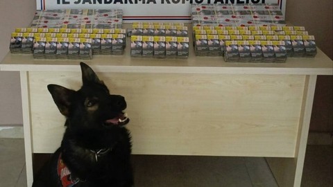 Kontrol İçin Durdurulan Tırdan Kaçak Sigaralar Çıktı