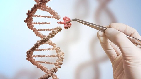 Türklerin En Çok Benzediği Millet Belli Oldu: DNA'lar İncelendi