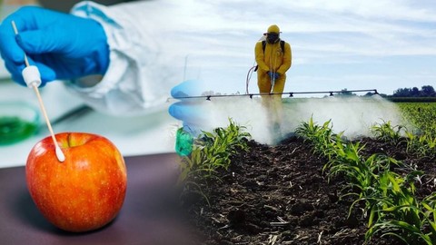 Karbonat ve Sirke İşe Yaramıyor... Meyve ve Sebzelerdeki Pestisitler Tek Bir Yöntemle Neredeyse Tamamen Temizleniyor